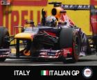 Σεμπάστιαν Φέτελ πανηγυρίζει τη νίκη του στον τα ιταλικό Grand Prix 2013